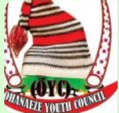 Ohanaeze Youth Council Appoints Lucky Uzochi George as Media Aide to Abia State Chairman.